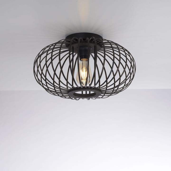 Actual product image Leuchten Direkt Racoon (E27)