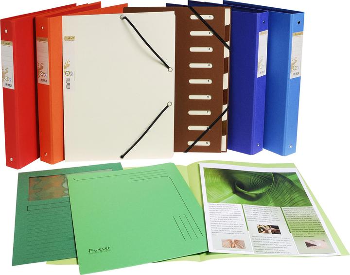 Image du produit Exacompta Fardes de classement - Couvertures de dossiers (A4, 10 x)