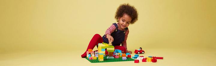 Immagine prodotto LEGO Pannello di costruzione (10980)