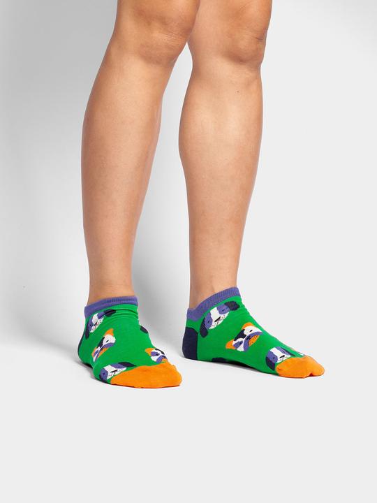 Produktbild DillySocks Short Dog Portraits (36 - 40)