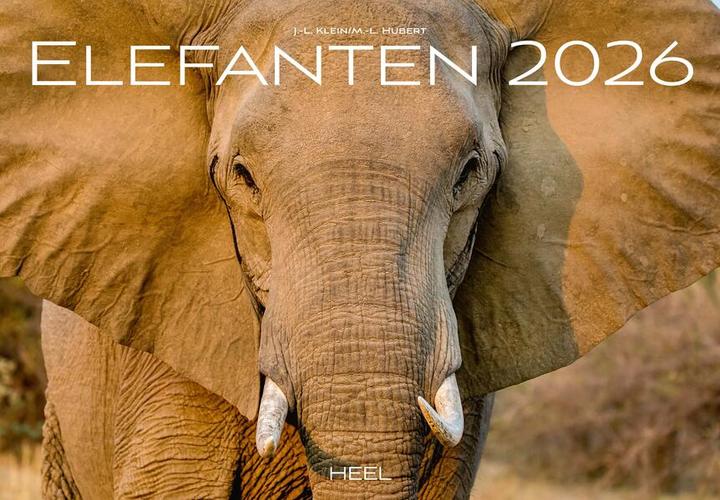 Actual product image Elefanten Kalender 2026 (Hardcover, German)