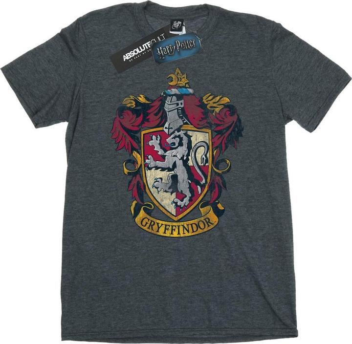 Actual product image Mens Gryffindor Cotton T-Shirt (L)