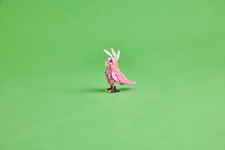 Image du produit LEGO Animaux sauvages : le flamant rose (31170, LEGO Creator Expert)
