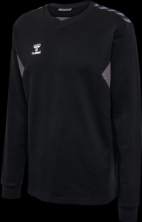 Image du produit hummel Hmlauthentic Co Training Sweat (L)