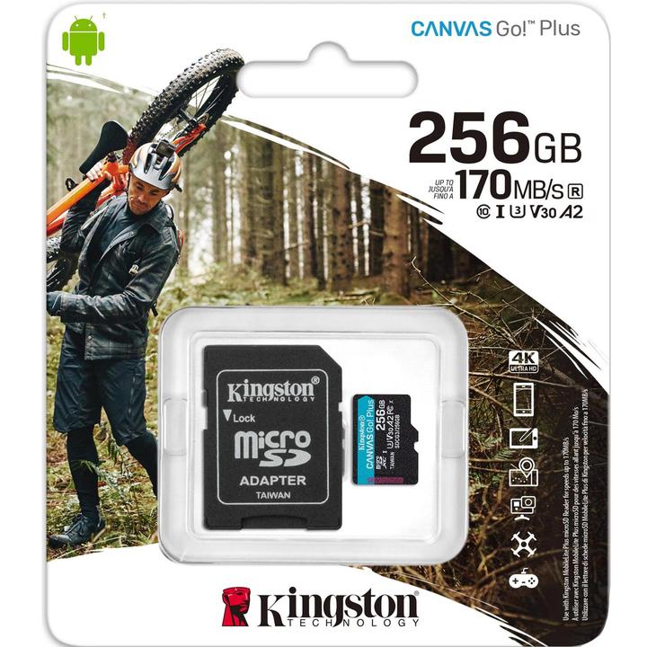 Image du produit Kingston Canvas Go! Plus microSD (256 Go, microSDXC, U3, UHS-I)