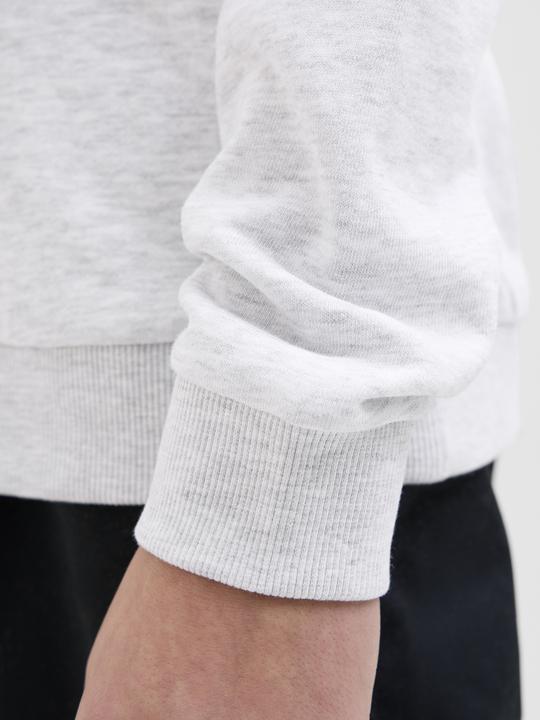 Produktbild Jack & Jones Jcologan Ss24 Print Sweat Hood Sn Jnr (140)