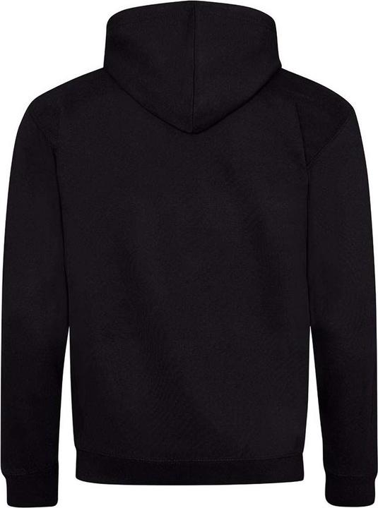 Image du produit Awdis - Veste à capuche VARSITY - Homme (M)