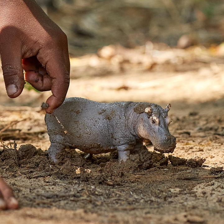 Immagine prodotto Schleich Ippopotamo