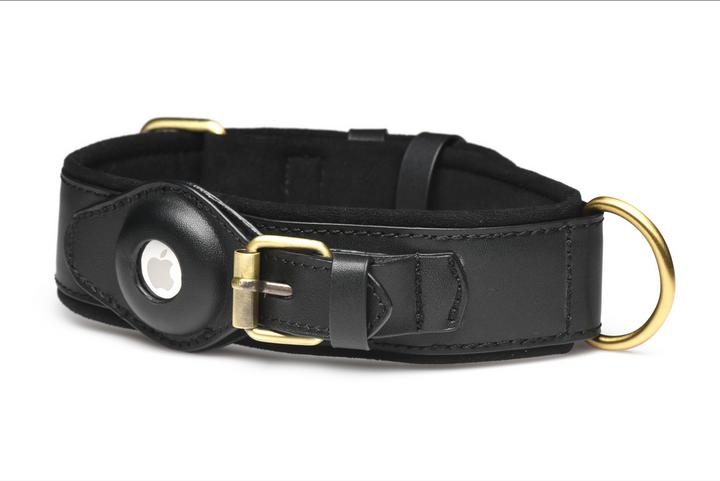 Actual product image Master Series Tracer - Tracking Collar