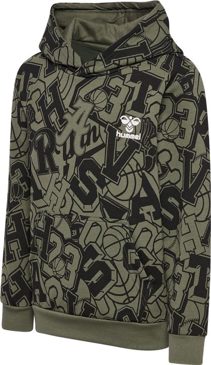Immagine prodotto hummel hmlMOLT HOODIE (110)