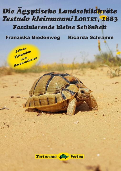 Produktbild Die Ägyptische Landschildkröte Testudo kleinmanni LORTET, 1883 (Deutsch, Franziska Biedenweg, Ricarda Schramm, 2018)