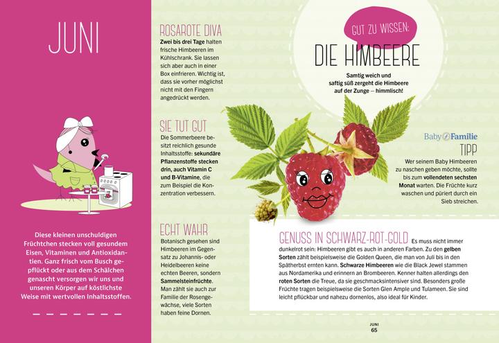 Produktbild Baby und Familie: Schnelle Familienküche (Deutsch, Susanne Klug, Stefanie Becker, 2020)