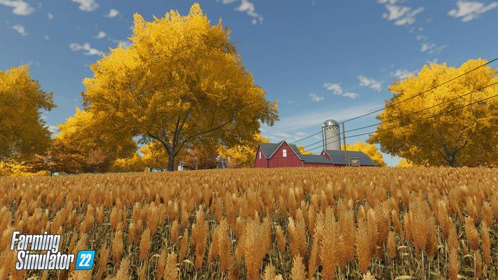Immagine prodotto Giants Software Farming Simulator 22 (Edizione Platinum) (PS4)