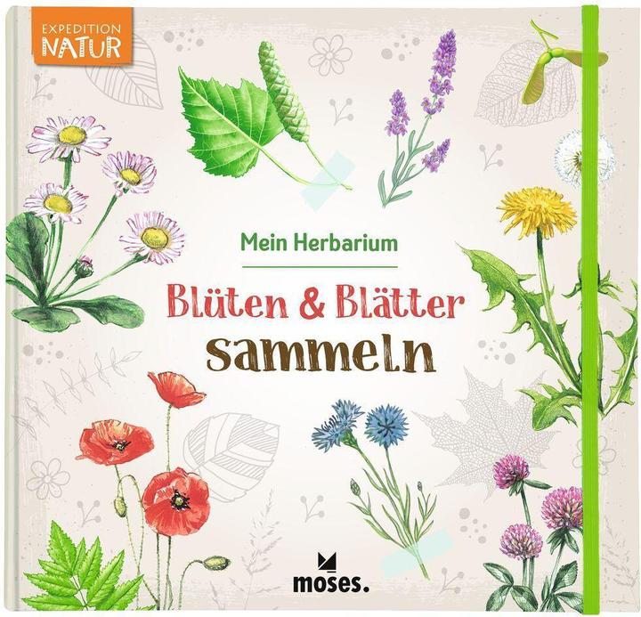 Produktbild Blüten & Blätter sammeln (Deutsch, Anke Küpper, 2022)