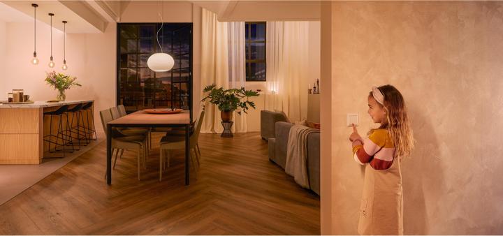 Produktbild Philips Hue Wandschalter Modul