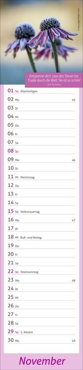 Produktbild times&moreTagevollerGlückLangplaner2026 (11 x 49 cm, Deutsch)