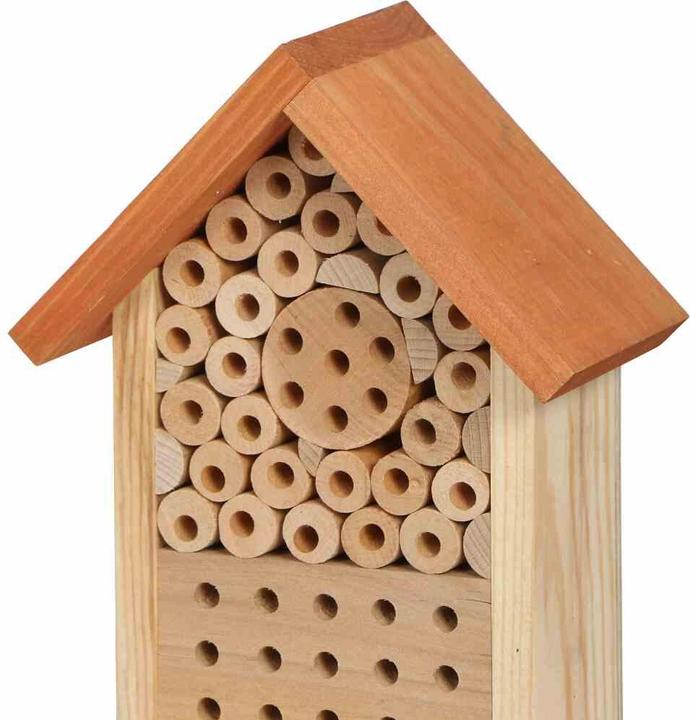 Productafbeelding Siena Garden Bijenblok (Bij)