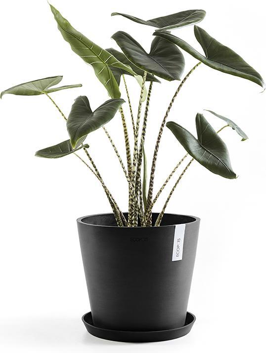 Produktbild Ecopots Saucer Round