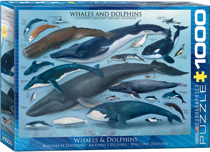 Produktbild Eurographics Wale und Delfine (1000 Teile)