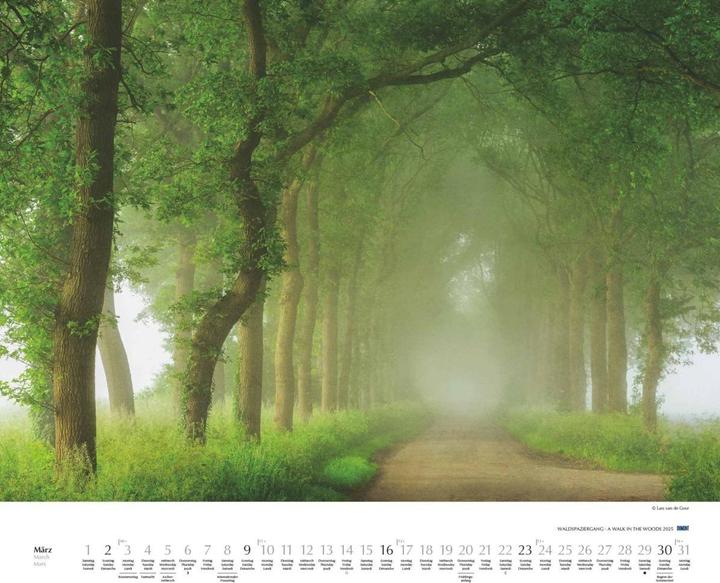 Image du produit Promenade en forêt 2025 - Calendrier photo d'art - Format paysage 60 x 50 cm - Reliure spirale (Couverture rigide, Allemand)