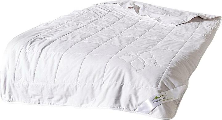 Actual product image Traumschlaf Kokon (750 g, 160 x 210 cm)