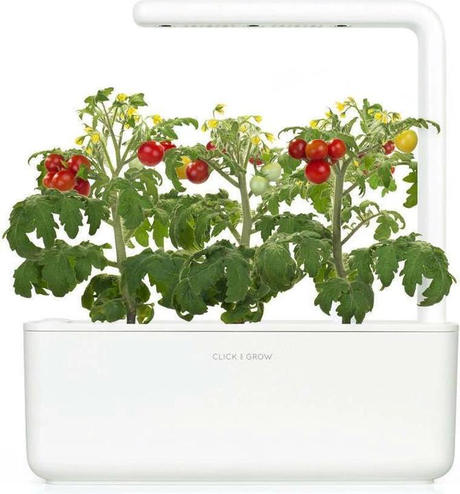 Produktbild Click and Grow Mini-Tomaten (Gemüsesamen)