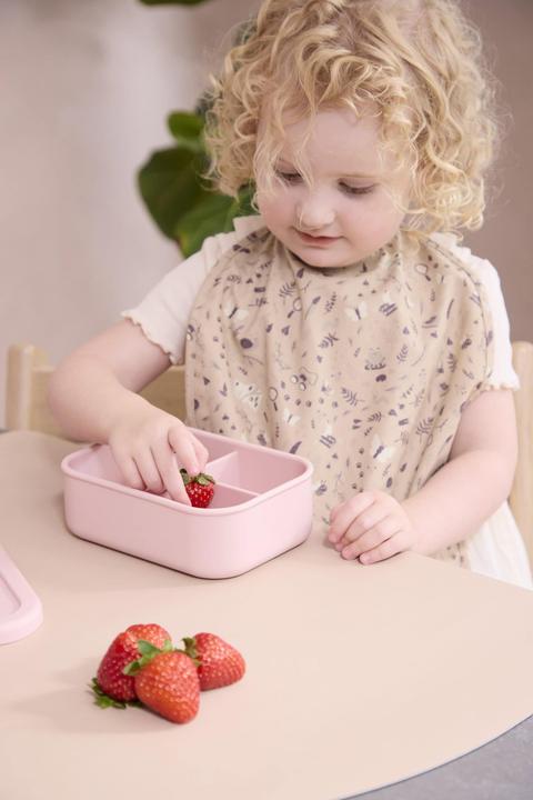 Produktbild Filibabba Brotdose aus Silikon - Little Wonders