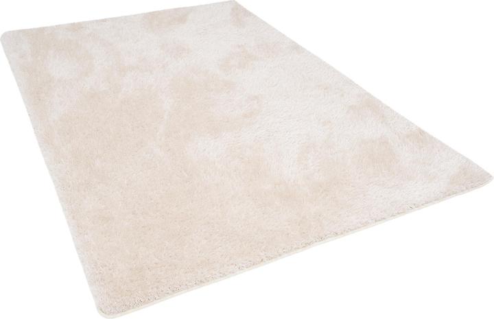 Immagine prodotto Snapstyle Tappeto Shaggy a pelo alto Mix di sensazioni di lusso (100 x 300 cm)