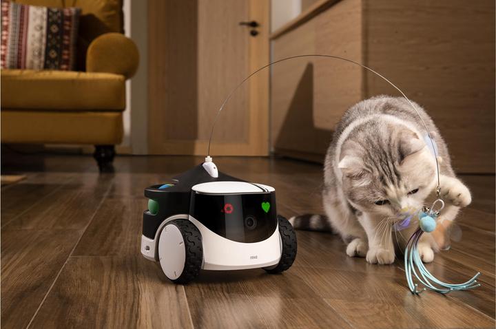 Actual product image Enabot ROLA PetPal Interactive Toys (Cat activity toy)