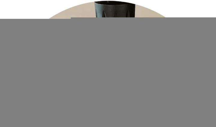 Actual product image wolfcraft Spann- und Arbeitstisch MASTER 600 (53 cm, 65 cm)