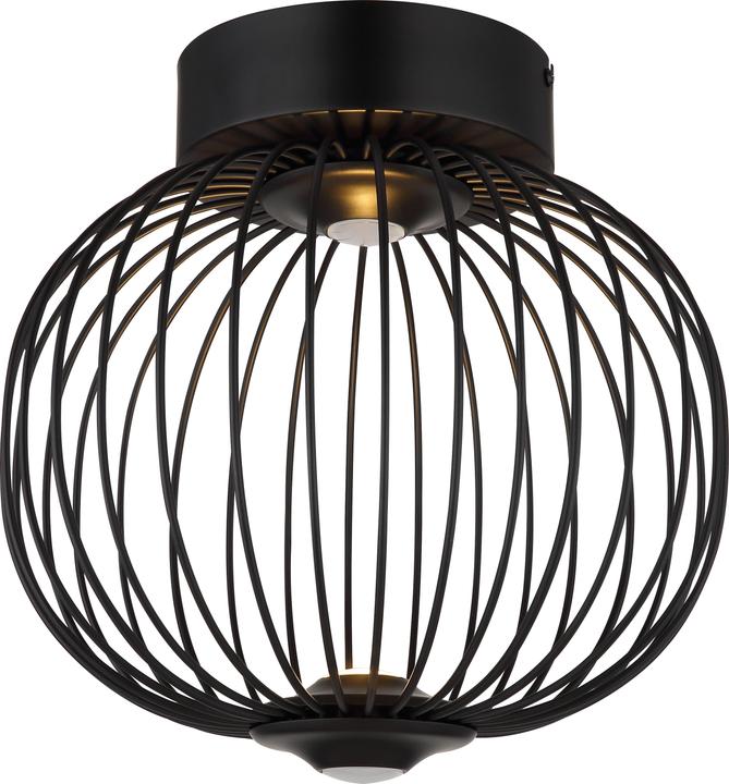 Actual product image Globo Galway