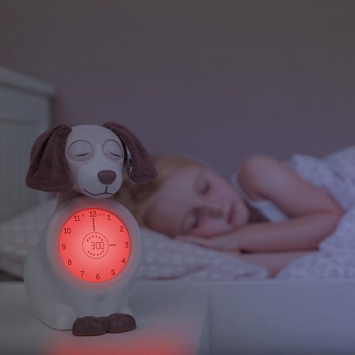 Immagine prodotto ZaZu Allenatore del sonno Davy