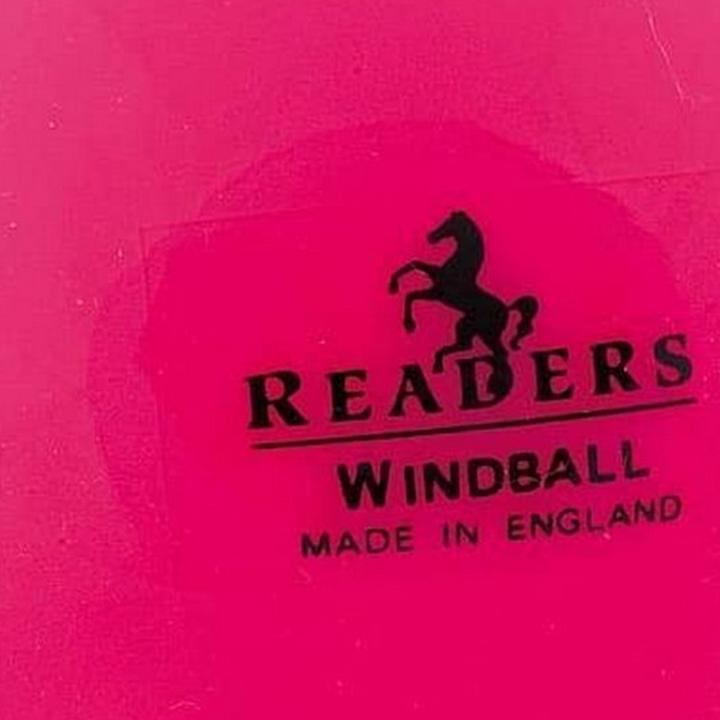 Immagine prodotto Readers Palla da cricket Windball