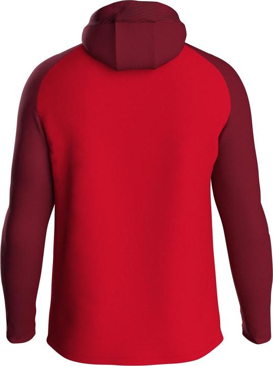 Actual product image JAKO Iconic hooded jacket (40)