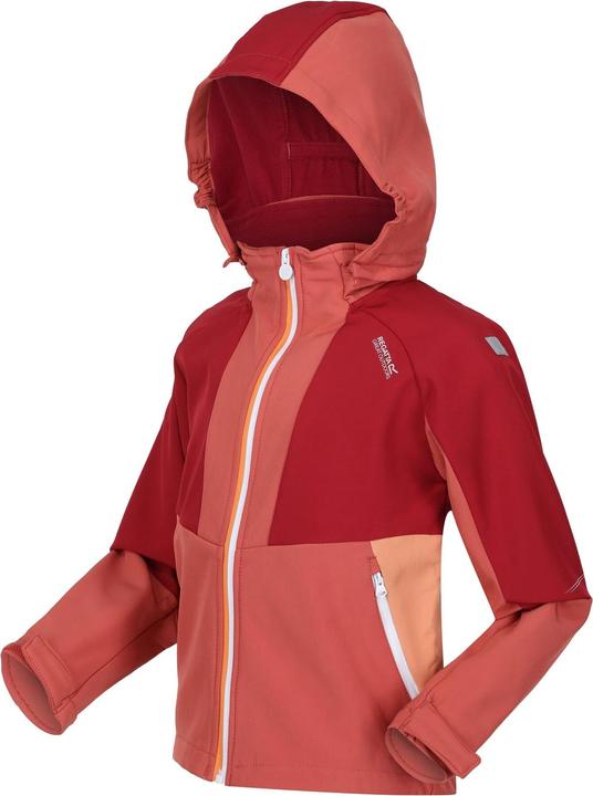 Produktbild Regatta Haydenbury Softshelljacke (116)