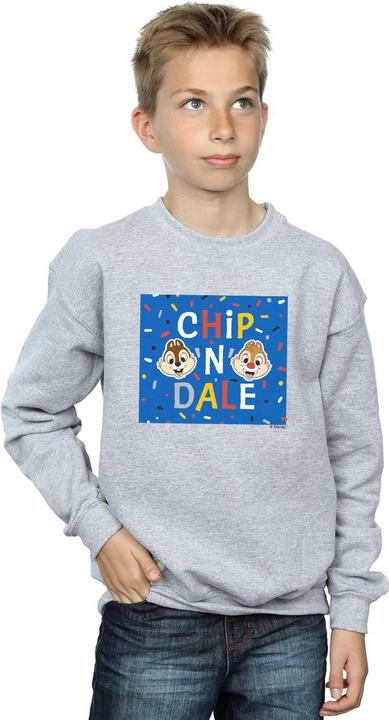 Actual product image Disney Boys Chip N Dale Blue Frame Sweatshirt (140, 146)