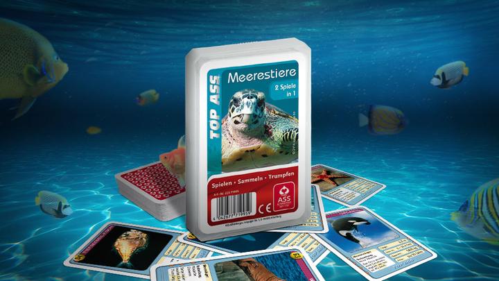 Immagine prodotto ASS Altenburg Quartetto - Animali marini (Tedesco)