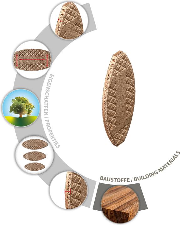 Immagine prodotto Tox Legno di biscotto (250 pz.)