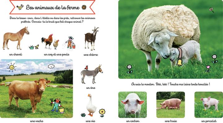 Produktbild Larousse jeunesse Le grand imagier des animaux à toucher (Französisch, Collectif, 2022)