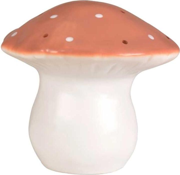 Produktbild Egmont Pilz Terra