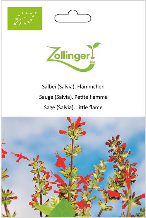 Produktbild Zollinger Bio Salbei (Salvia), Flämmchen