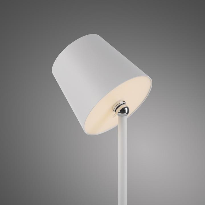 Image du produit Just Light Lampe bouteille à LED (320 lm)