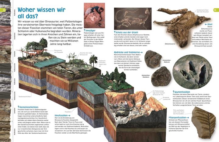 Actual product image memo Wissen entdecken. Dinosaurier (German, Dorling Kindersley, 2018)