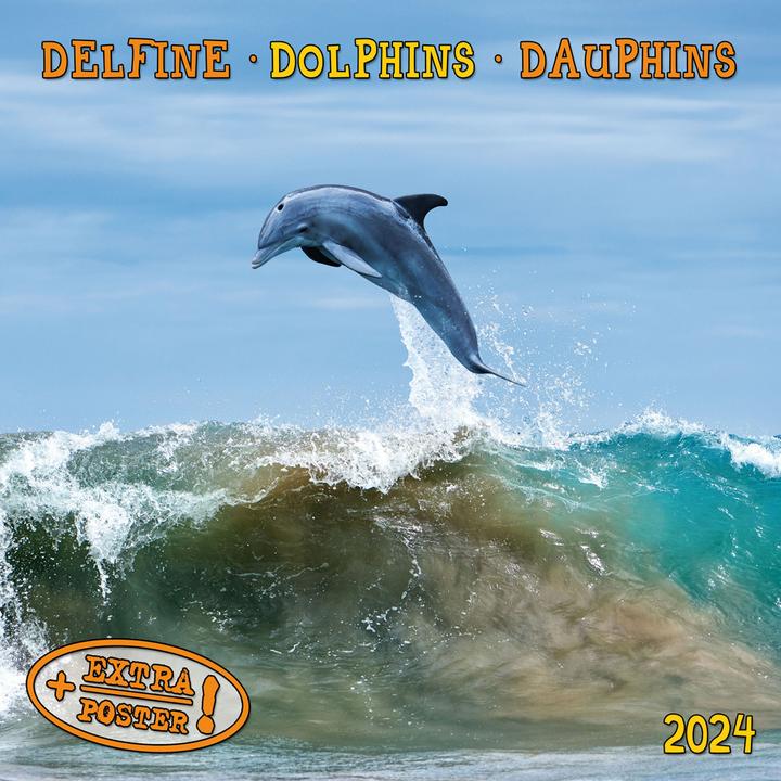 Actual product image Dolphins 2023 (Hardcover, Spanish, French, Czech, Italian, Dutch, Polish, German, English)