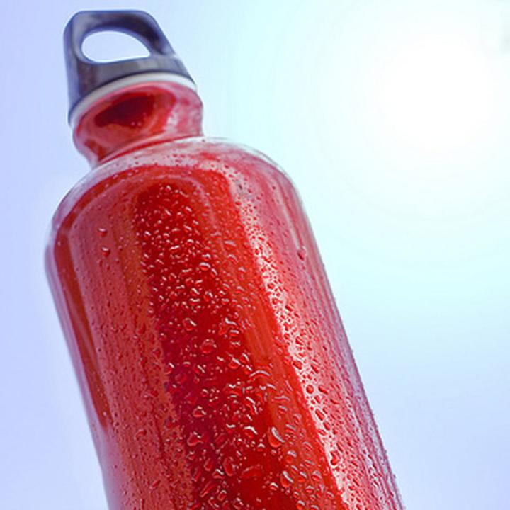 Produktbild Sigg Traveller (0.60 l)