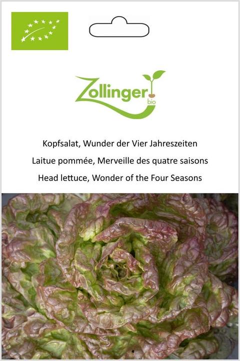 Produktbild Zollinger Bio Kopfsalat, Wunder der Vier Jahreszeiten (Keimlinge)
