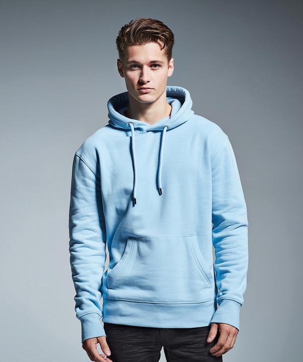 Actual product image Anthem Hooded jumper from organic farming (S)