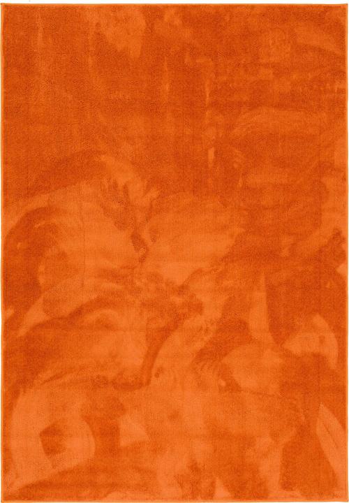 Produktbild Pergamon Luxus Super Soft Hochflor Langflor Teppich Melia (120 x 170 cm)