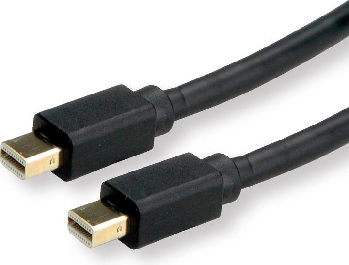 Actual product image Roline Mini DisplayPort — Mini DisplayPort (1 m, DisplayPort)