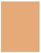 Produktbild MAC Cosmetics Studio Radiance Face and Body Radiant Sheer Foundation (C4)